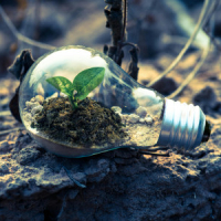 Group logo of Sustainability Unlike Common